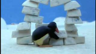 Pingu Pingu builds an Igloo [upl. by Ridinger]