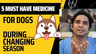 बदलते मौसम में Dog की 5 दवाइयाँkennel cough treatment home remedies during changing season [upl. by Joya]