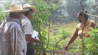 La Escuela Campesina Un proyecto de Educacion Popular [upl. by Reinhart]