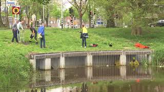 Brandweer redt vier jonge eendjes uit afwateringssysteem in Roosendaal [upl. by Oneida]