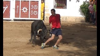 REVERSAZOO Encierro por el campo Valfermoso de Tajuña 2017 [upl. by Annavoig900]