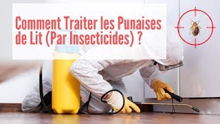 Comment Traiter les Punaises de Lit  Punaise de Lit Traitement [upl. by Olfe]