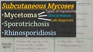 Subcutaneous Mycosis  Mycetoma  Sporotrichosis  Rhinosporiodosis [upl. by Christmas]