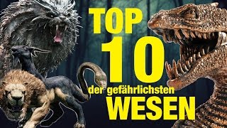 TOP 10 der GEFÄHRLICHSTEN TIERWESEN aus Harry Potter 💀 [upl. by Acinhoj]