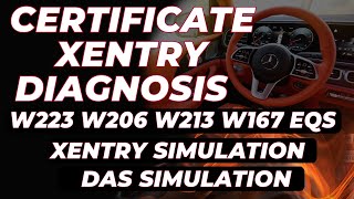 Detailed information Xentry Diagnosis for W223 W206 W213 W167 Xentry Simulation  Das Simulation [upl. by Tnias]