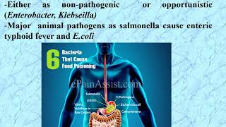 Family Enterobacteriaceae part1 [upl. by Rennane]