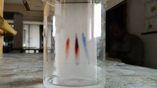 Chromatography Technique Timelapse [upl. by Ahsimat]