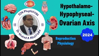 HypothalamoHypophysealOvarian Axis Physiology 102024 by Dr Khaled A Abulfadle [upl. by Bradlee]