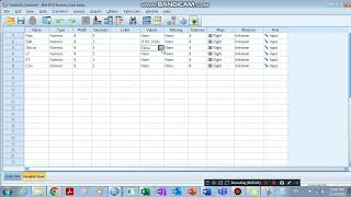 Two Way Multivariate ANOVA by SPSS For agricultural experiments [upl. by Anitirhc679]