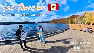 【メープル街道】紅葉が美しいメルシエ湖でしっとりと♪〜世界一周演奏動画㊳🇨🇦〜 [upl. by Skurnik]