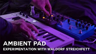 Ambient experimentation with Waldorf Streichfett  Ambient Pad [upl. by Lauryn]