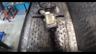 A Dpf Cleaner Montage from 30min dpf clean [upl. by Hctub]