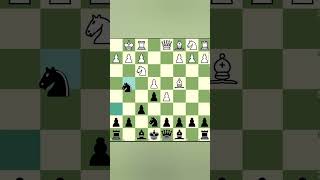 Double Knight Sac ✨ chess chessgame viralvideo [upl. by Aspia]