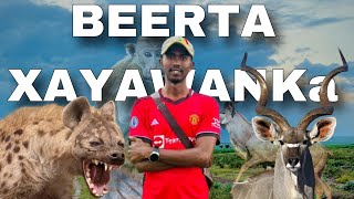 Beerta xayawaanka ee Jigjiga [upl. by Brenn101]