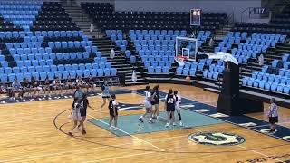 Melicia Nelson 22 Lady Dreams Highlights from 2024 Road to NABI Tournament [upl. by Noeht]