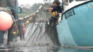 Menhaden harvest [upl. by Lai]