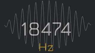 1Hz to 22000Hz frequency generator human audio spectrum suara pembersih speaker hp [upl. by Amahs]