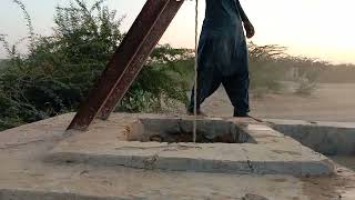 An interesting view of water coming out of a well in the desert [upl. by Lanny552]