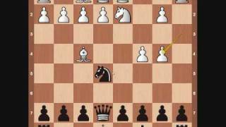 Chess Openings Budapest Gambit [upl. by Xenos]