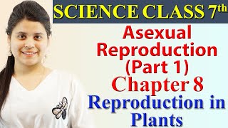 Asexual Reproduction Part 1  Chapter 8  Reproduction in Plants  Science Class 7th NCERT [upl. by Amity]