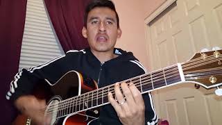 Radicamos En South Central  Fuerza Regida cover Damian Requinto [upl. by Onabru560]