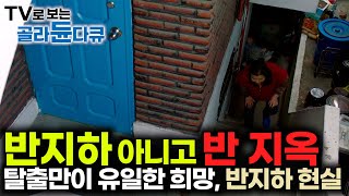 끝 없는 어둠 무한 증식 곰팡이와의 동거 탈출만이 유일한 소원이 됐다｜유일한 보금자리지만 동시에 반 지옥이 된 반지하 살이｜대한민국 반지하 현실｜골라듄다큐 [upl. by Staffan]