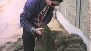 Eddie Vedder takes a walk around Wrigley Field 1992 RARE [upl. by Hock398]