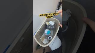 Toilet Flush Trickling Problem Solved [upl. by Eissalc]