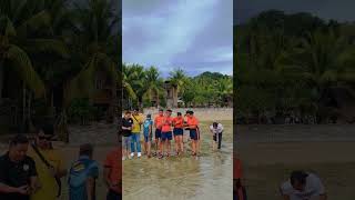 Release of Hawksbill Sea Turtle Hatchlings ✨ [upl. by Nhojleahcim963]