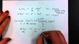 Polyprotic Acid [upl. by Aititil125]