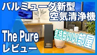 【おすすめ空気清浄機】バルミューダ空気清浄機The Pureレビュー【３ヶ月使ってみた】掃除＆お手入れが簡単、騒音も検証、最高の空気清浄機でした [upl. by Balfour399]