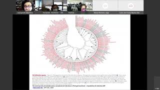 Webinar MNT [upl. by Aserehs]