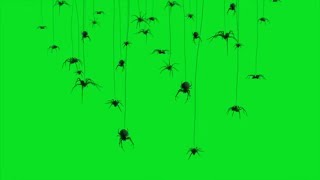 🕷 Glitch Spiders Halloween Overlay Green Screen Footage 4K NO COPYRIGHT 🕷 [upl. by Ahsan837]