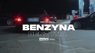 Mr Polska  Benzyna Patryś Remix [upl. by Tatianna]