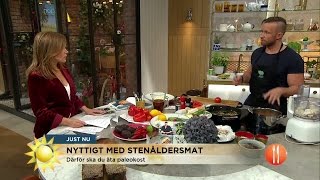 Dragomir Mrsic quotHar aldrig hört ordet Paleoquot  Nyhetsmorgon TV4 [upl. by Nylegna]