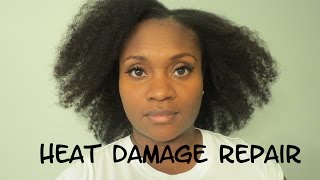 Apple Cider Vinegar ACV Rinse for Heat Damaged Repair [upl. by Anikas]