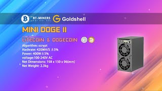 Goldshell MINI DOGE II DOGE amp LTC Miner Setup [upl. by Edgardo]