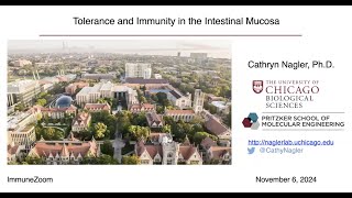 Tolerance and Immunity in the Intestinal Mucosa [upl. by Izaak]