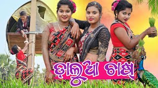 ଡ଼ାଲୁଆ ଚାଷ୍ 🌾 କେନ୍ତା ହେଲା   New Sambalpuri Comedy Video  Recent Viral Video sambalpuricomedy [upl. by Brozak]