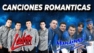 Grupo Mandingo vs Ladron Mix Exitos 2024  Romanticas Viejitas [upl. by Ttreve]