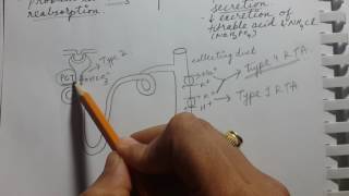 RENAL TUBULAR ACIDOSIS  USMLE STEP 1 [upl. by Asela]