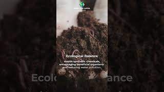 Improving Soil Fertility Through Natural Farming Practices [upl. by Eiramllij]