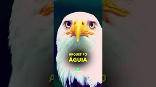 Arquétipo Águia PODEROSO 🦅 arquetipoaguia [upl. by Arta]