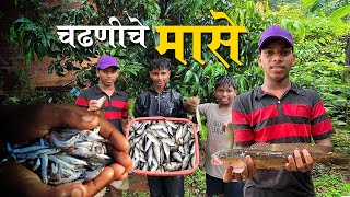 पावसातले चढणीचे मासे  गोड्या पाण्यातले मोठे मासे  Freash Water Traditional Fishing [upl. by Kalvn813]