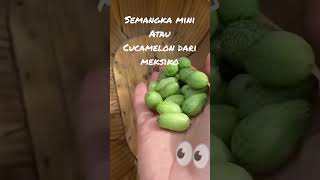 Semangka mini buah strumble strumble fruit panenbuahlangka buahbuahan semangka [upl. by Puritan]