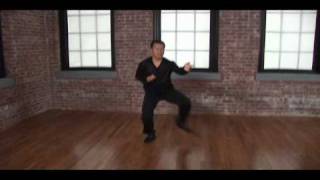 Master Ren GuangYi in Action  Lou Reeds Tai Chi [upl. by Lachance]