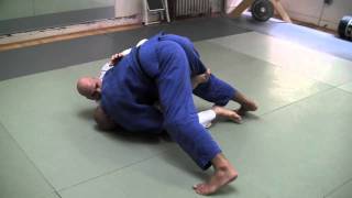 BJJ Brazilian JiuJitsu Technique  Ailson quotJucaoquot Brites  Passing the Butterfly Guard [upl. by Syah]