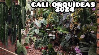 CALI ORQUÍDEAS ORQUIDEORAMA 2024 §LIZZ Y SU VIVERO 😍🤩😱🫣 [upl. by Furr]