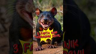 3 Fakta Menakjubkan Tentang Tazmanian Devil yang Harus Kamu Tahu shorts tazmaniandevil devil [upl. by Nader]