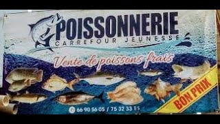 POISSONNERIE  Ce quil faut savoir dans ce Business [upl. by Ordnagela]